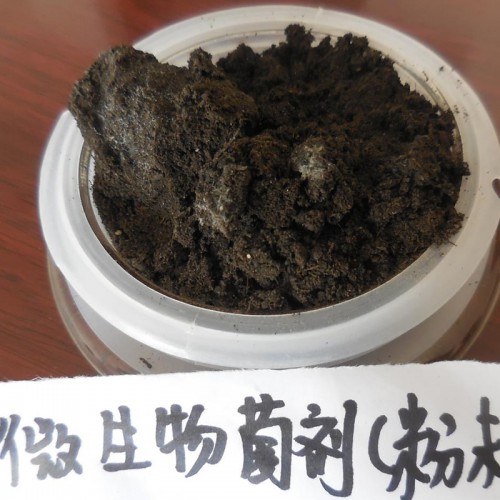 生物菌肥 微生物菌肥 微生物菌剂