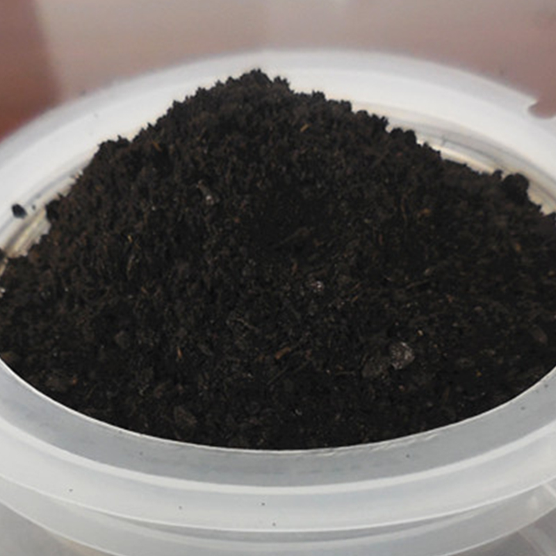 Summer beach concept