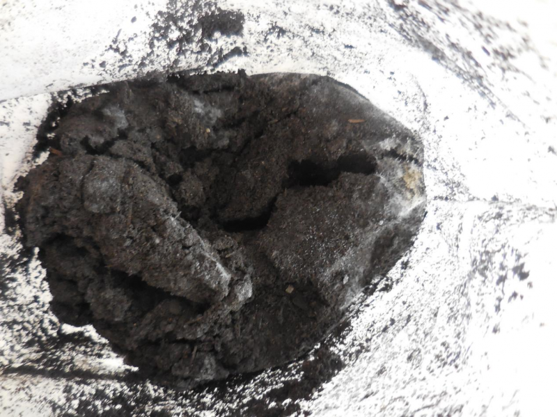 生物有机肥（粉状）5