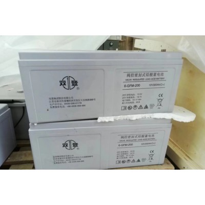 双登蓄电池6-GFM-65铅酸免维护电池12V65AH