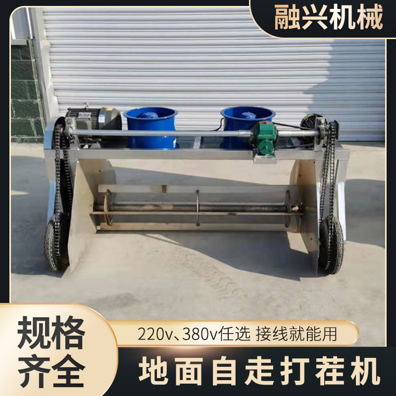 Summer beach concept