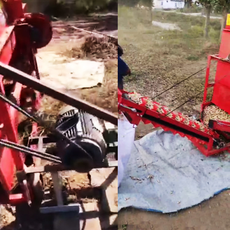 Summer beach concept