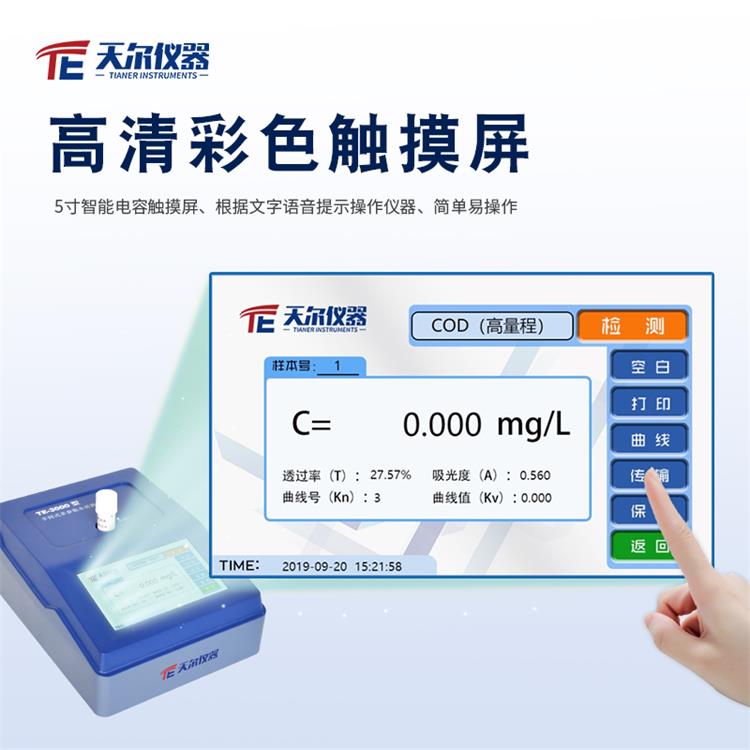 Summer beach concept