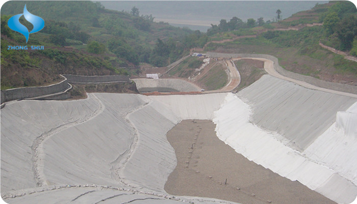 Summer beach concept