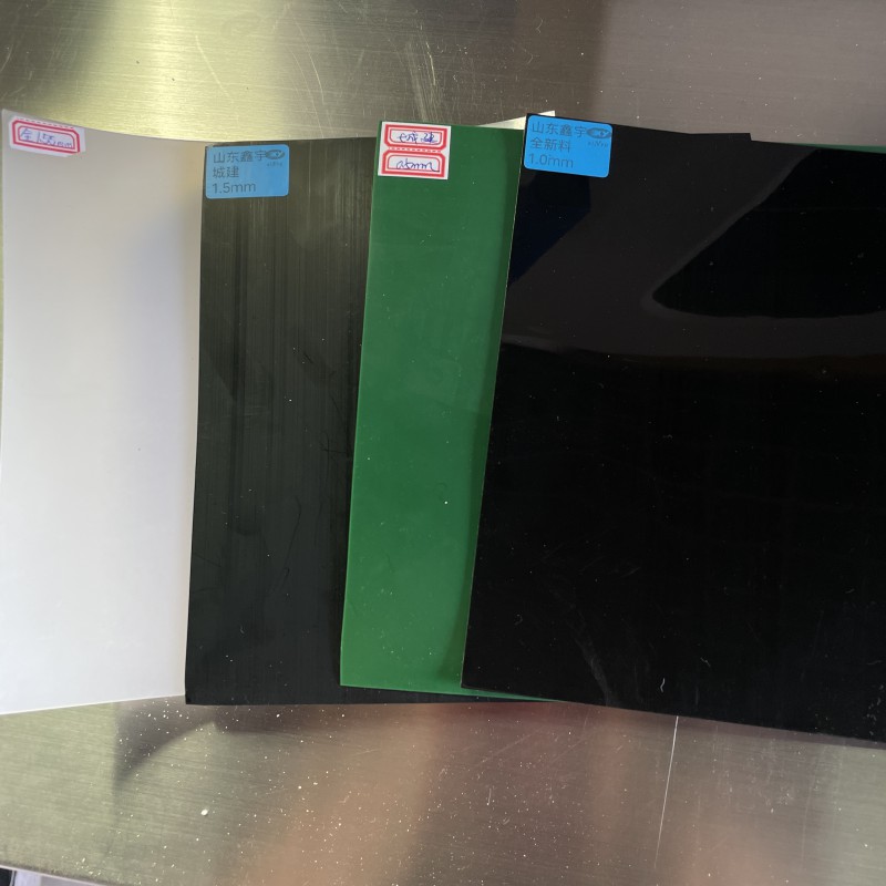 Summer beach concept