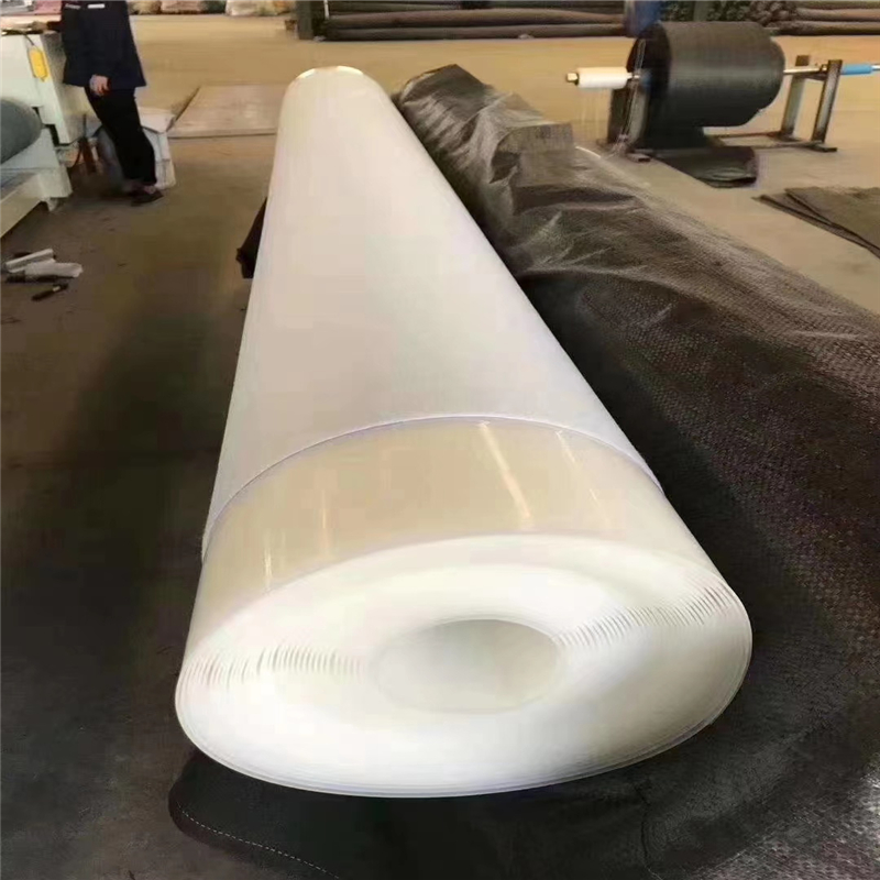 Summer beach concept