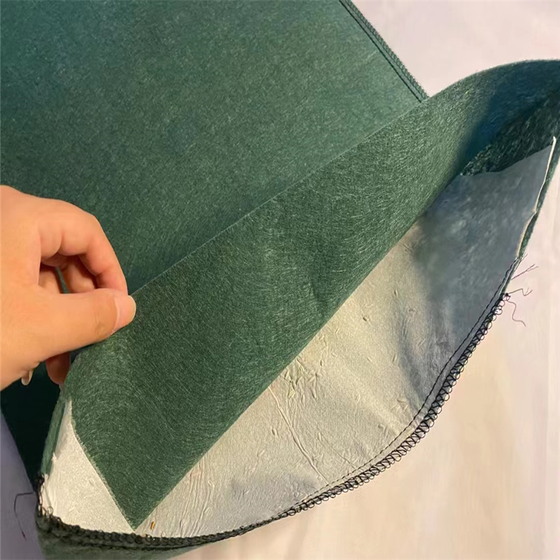 Summer beach concept