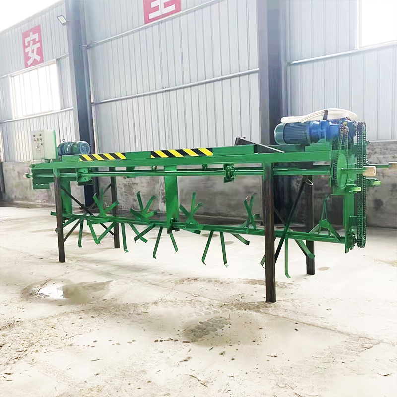 Summer beach concept