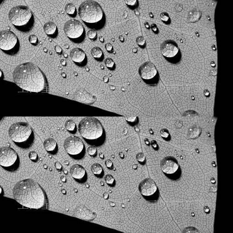 u=3297797294,3563586546&fm=199&app=68&f=JPEG