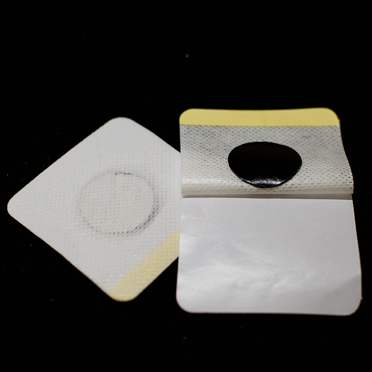 Summer beach concept