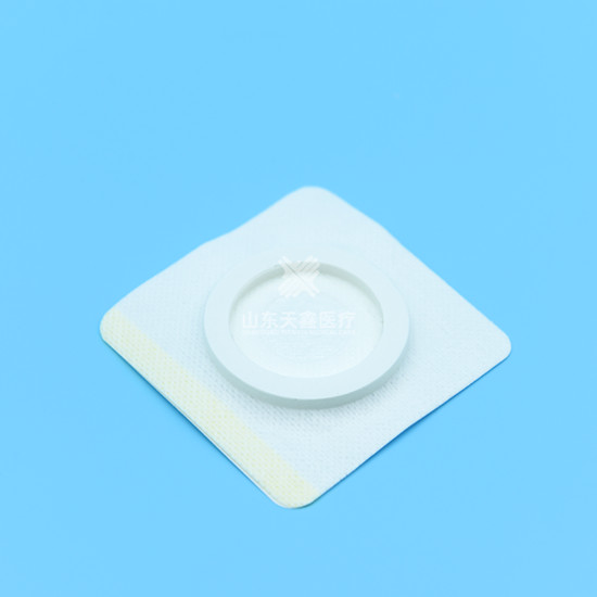 Summer beach concept