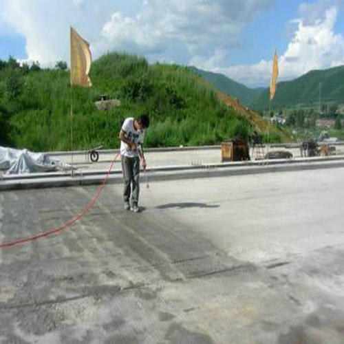 Summer beach concept