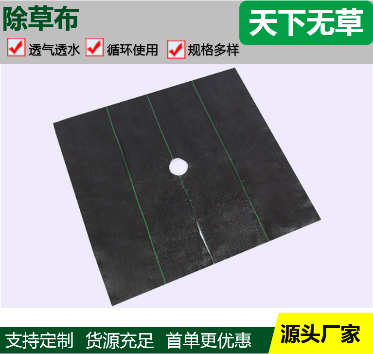 Summer beach concept