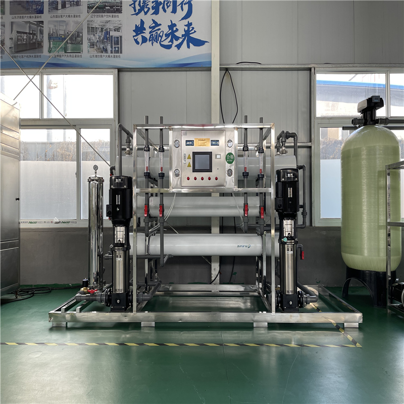 6T双极反渗透设备