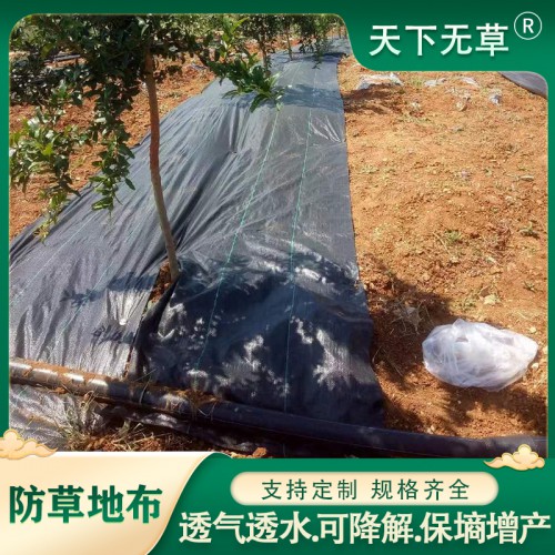 除草布 果园除草布 种植防草布