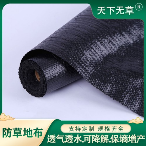 除草布 园艺除草布 大棚种植除草布