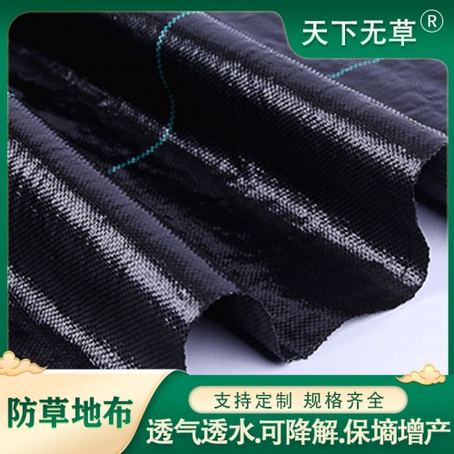 除草布 农用黑色除草布 大棚防草布