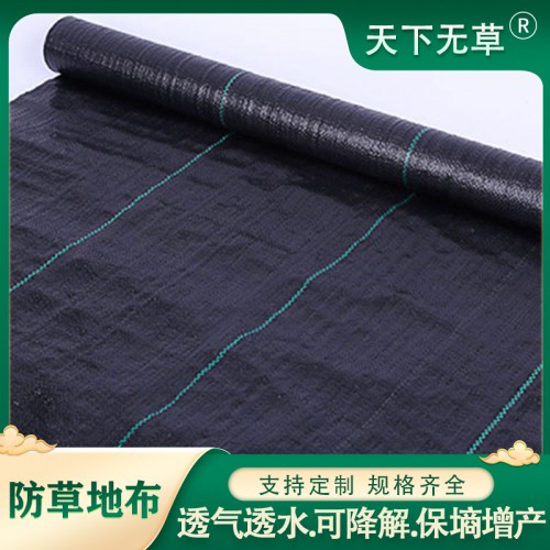除草布 PP材料防草园艺防草地布