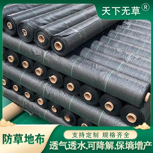 除草布 苗木防草地布 编织防草布