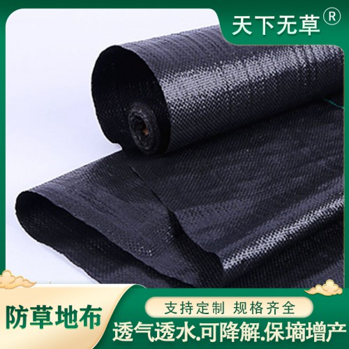 除草布 农用黑色种植防草布 透气保温除草布