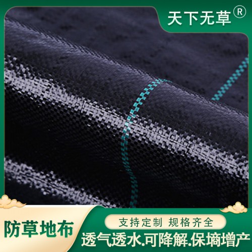可定制 果树园林种植防草布 农用黑色除草布