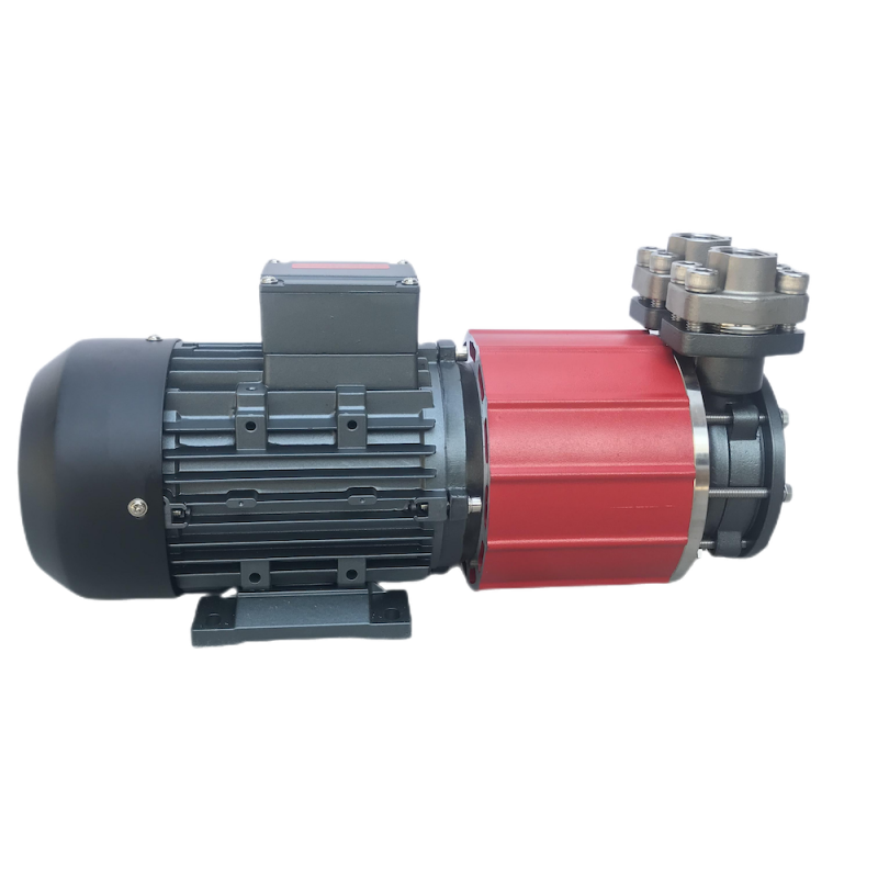 Summer beach concept