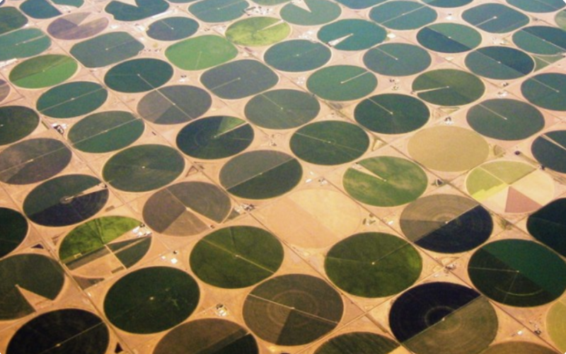 微信截图_20220520113845