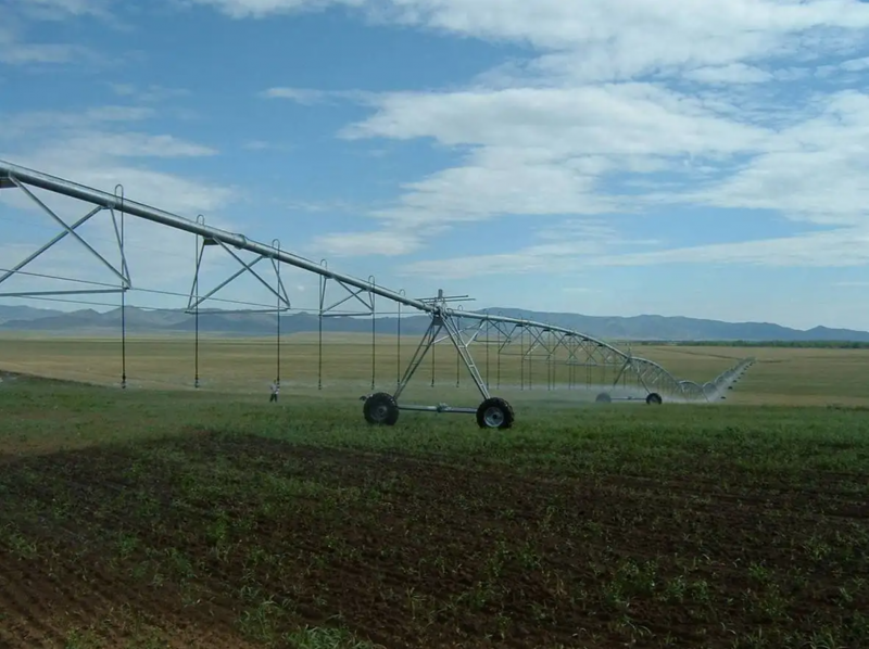 微信截图_20220520113224