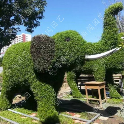 新闯园艺 五色草立体花坛 节庆雕塑 绿雕景观制作 私人定制