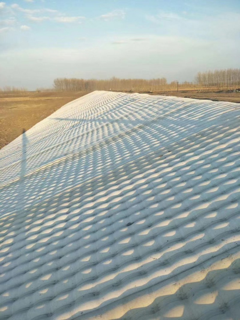 Summer beach concept