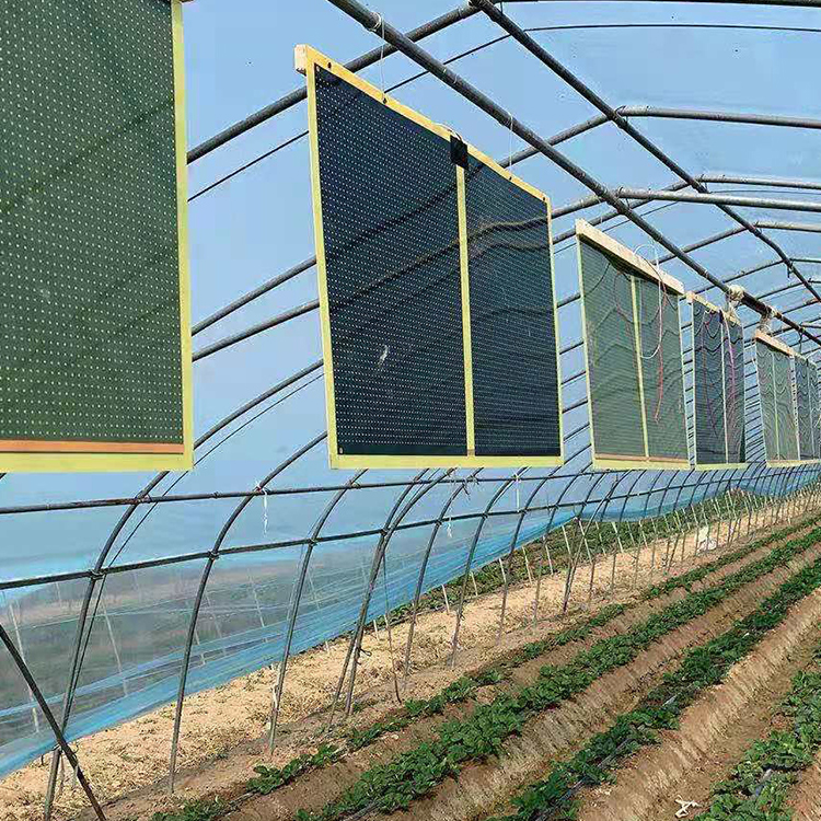 Summer beach concept