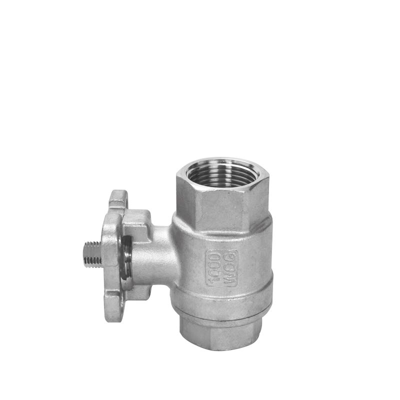 Summer beach concept