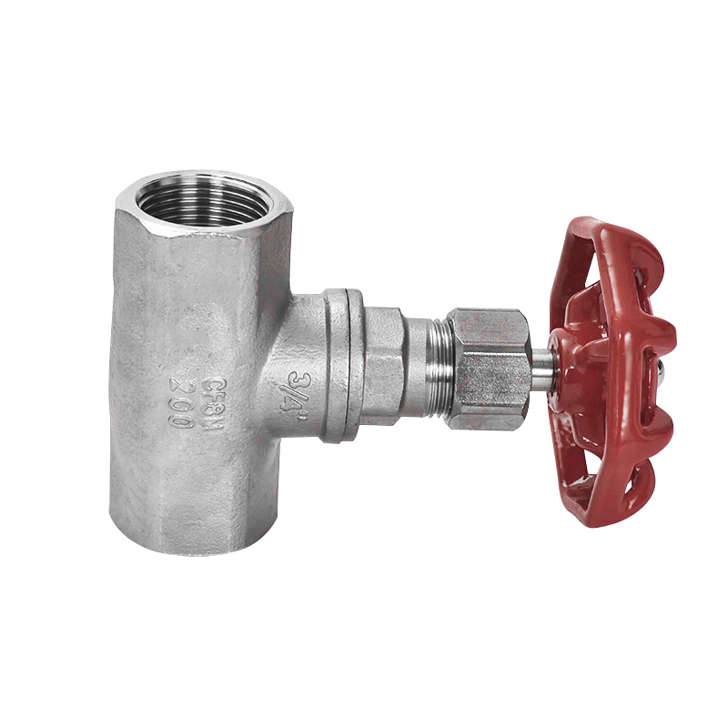 Summer beach concept