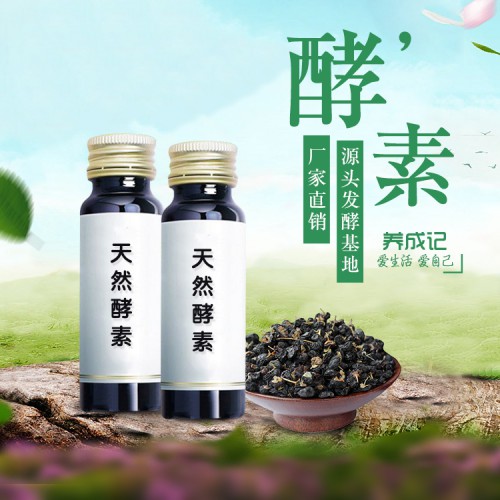 桑葚酵素oem 排毒润肠通便 酵素代加工厂家