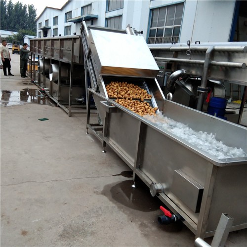 药材喷淋清洗机  大姜清洗机  姜芽喷淋清洗设备