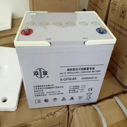 双登蓄电池6-GFM-24铅酸免维护电池12V24AH