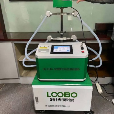 Summer beach concept