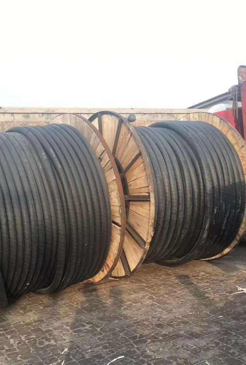 Summer beach concept