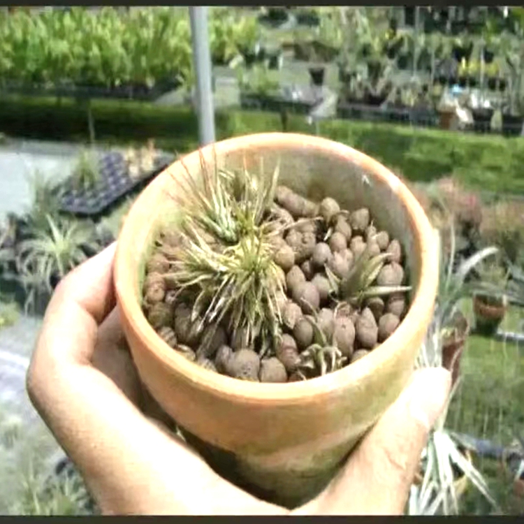 微信图片_20220616093114