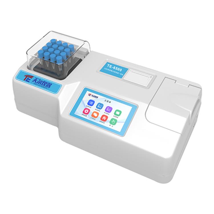 Summer beach concept