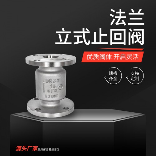 法兰立式止回阀