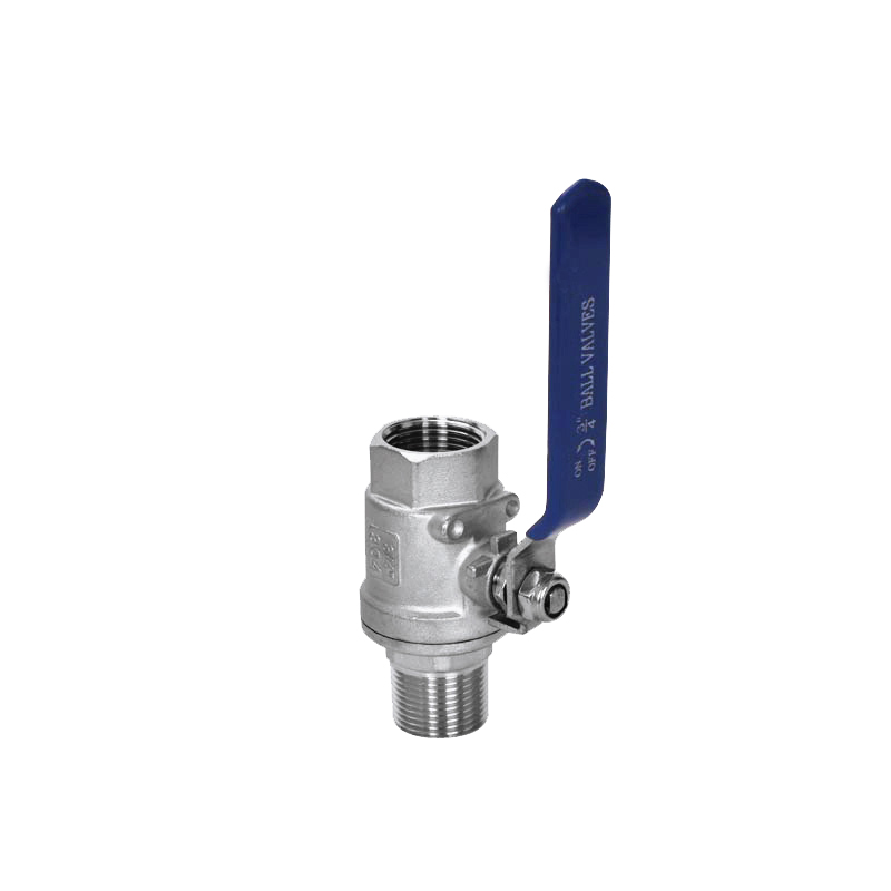 Summer beach concept