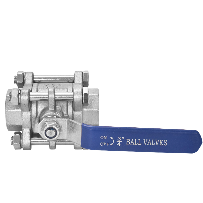 Summer beach concept