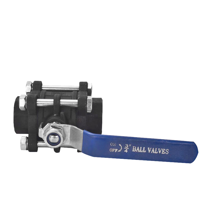 Summer beach concept