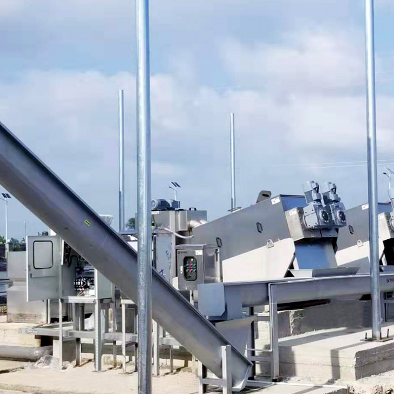 Summer beach concept