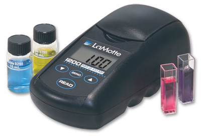 Summer beach concept