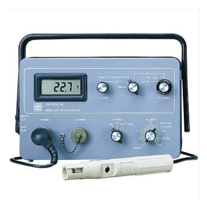 Summer beach concept