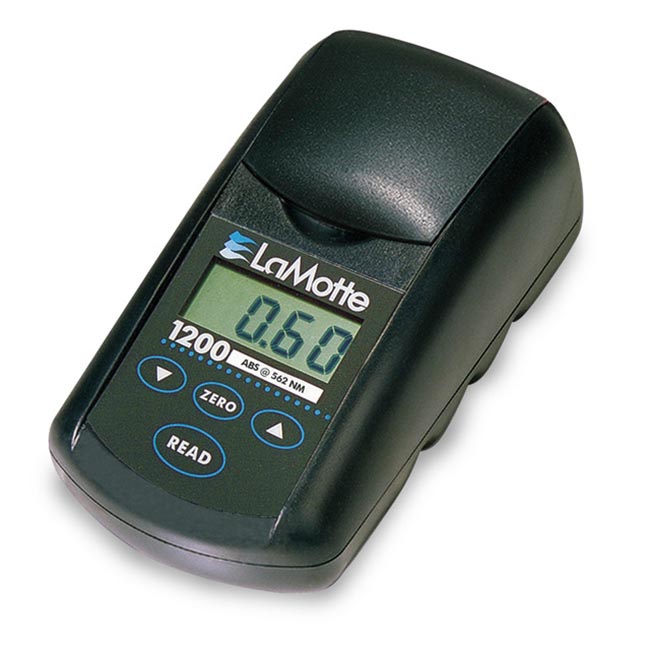 Summer beach concept