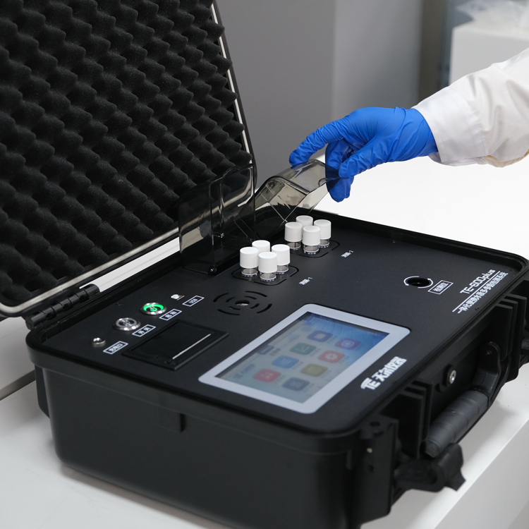 Summer beach concept