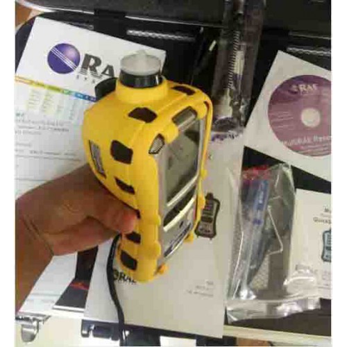 气体检测仪 华瑞PGM-6228